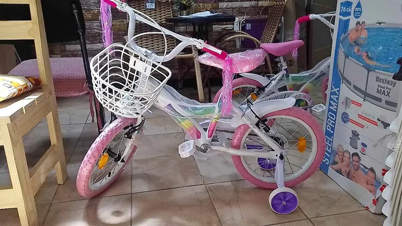 Bici rodado 16 niños rosada con rueditas — 1